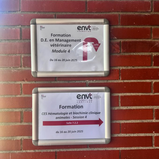 ENVT