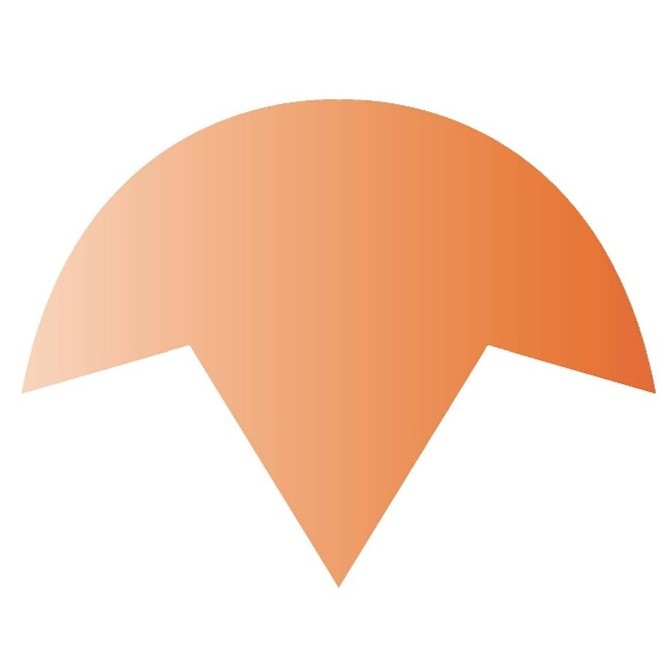 Logo Phylum 1er symbole