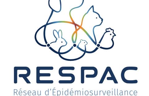 Logos RESPAC